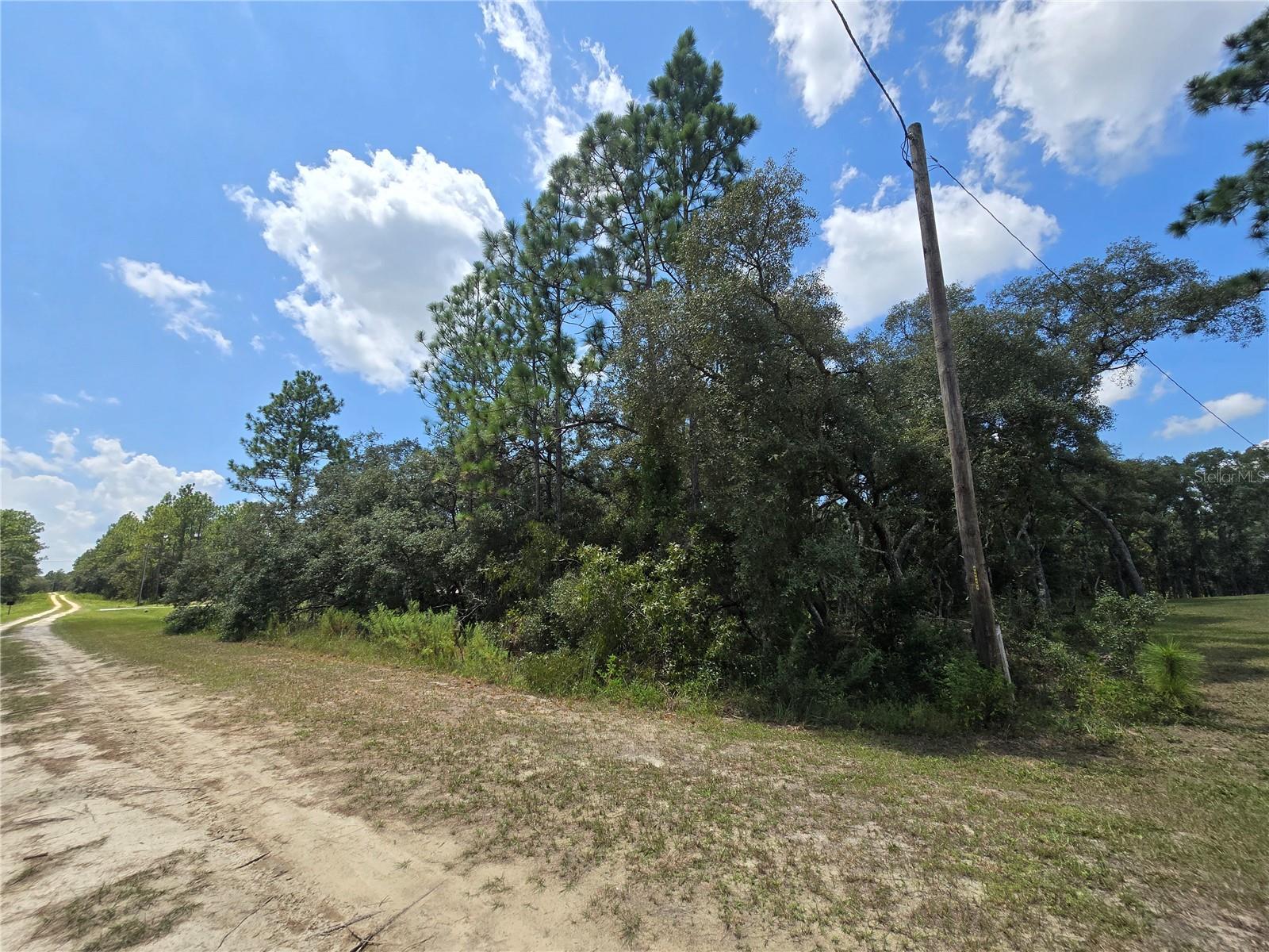 TBD SW 122ND AVE, LOT 10, DUNNELLON, FL, 34432