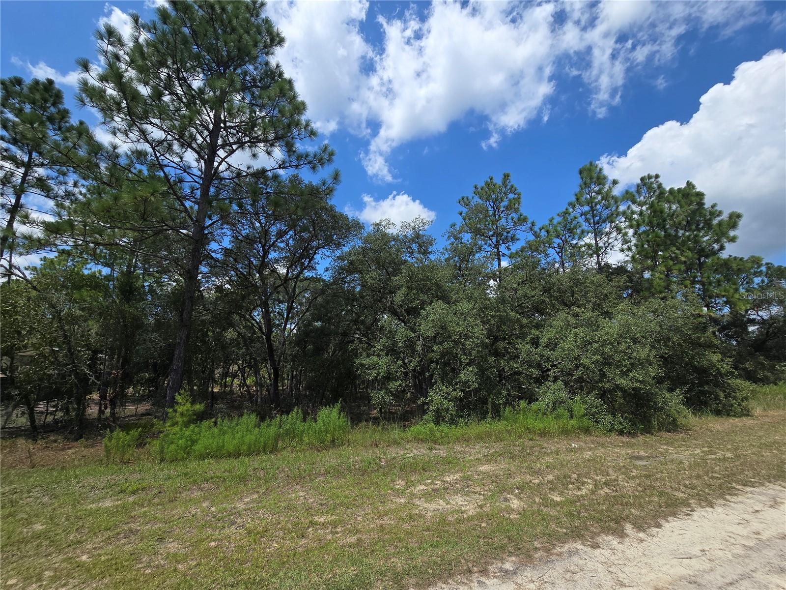 TBD SW 122ND AVE, LOT 10, DUNNELLON, FL, 34432