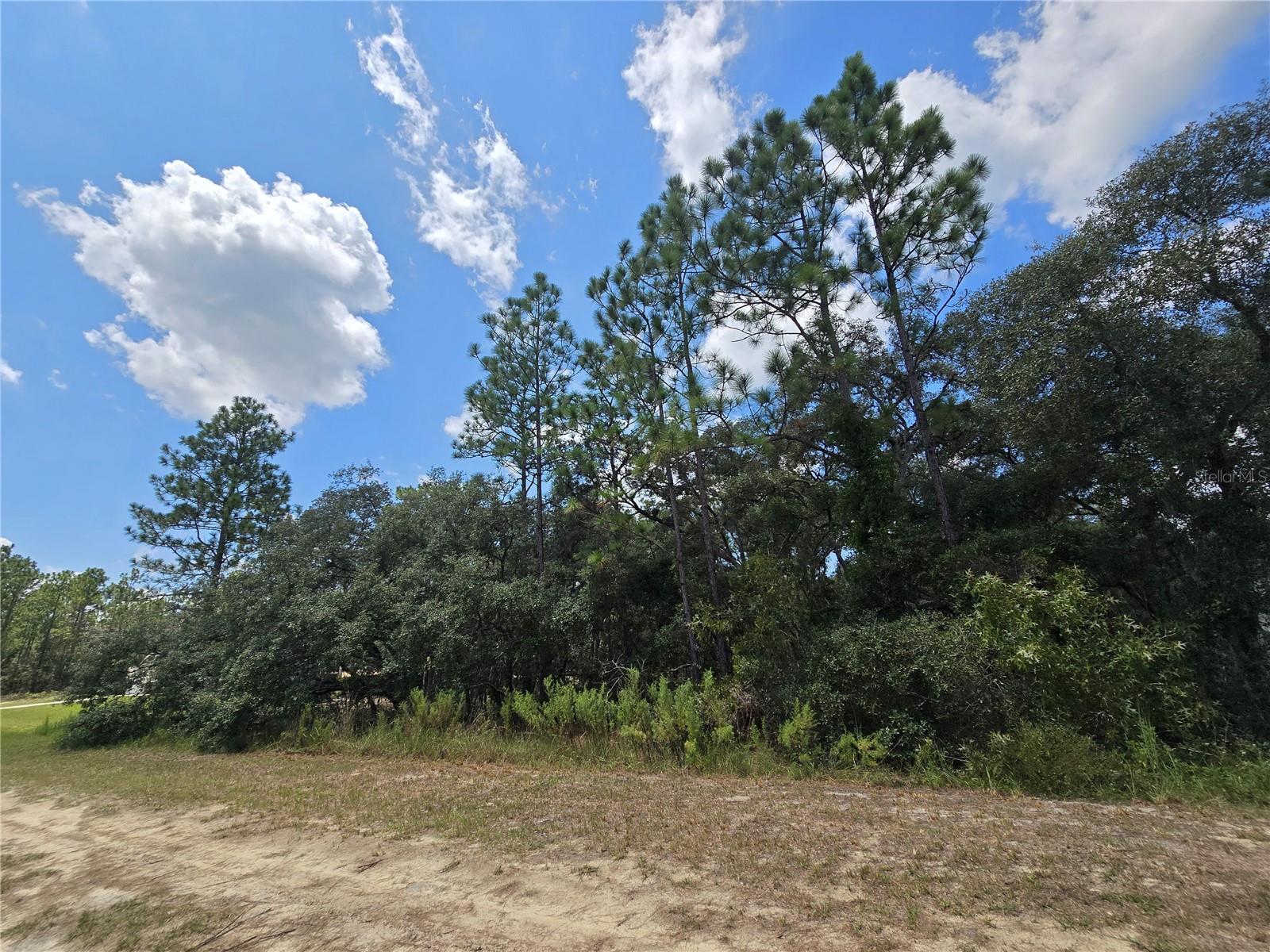 TBD SW 122ND AVE, LOT 10, DUNNELLON, FL, 34432