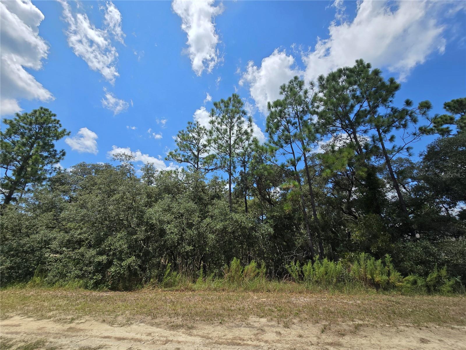 TBD SW 122ND AVE, LOT 10, DUNNELLON, FL, 34432