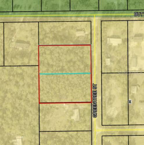 2610 & 2578 GREENTREE ST, BUNNELL, FL, 32110