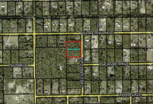 2610 & 2578 GREENTREE ST, BUNNELL, FL, 32110