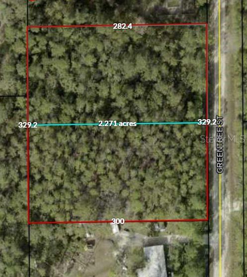 2610 & 2578 GREENTREE ST, BUNNELL, FL, 32110