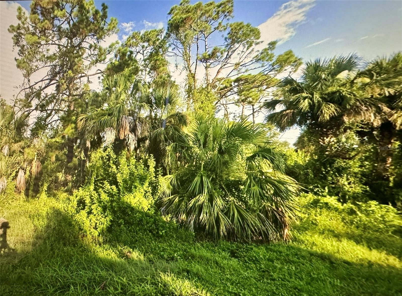 109 CAMILLIA LN, PORT CHARLOTTE, FL, 33954