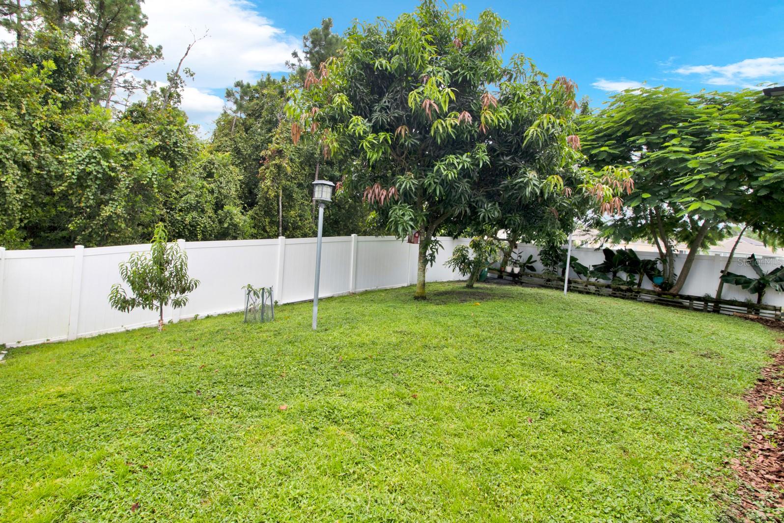 233 TANGLEWOOD DR, DAVENPORT, FL, 33896