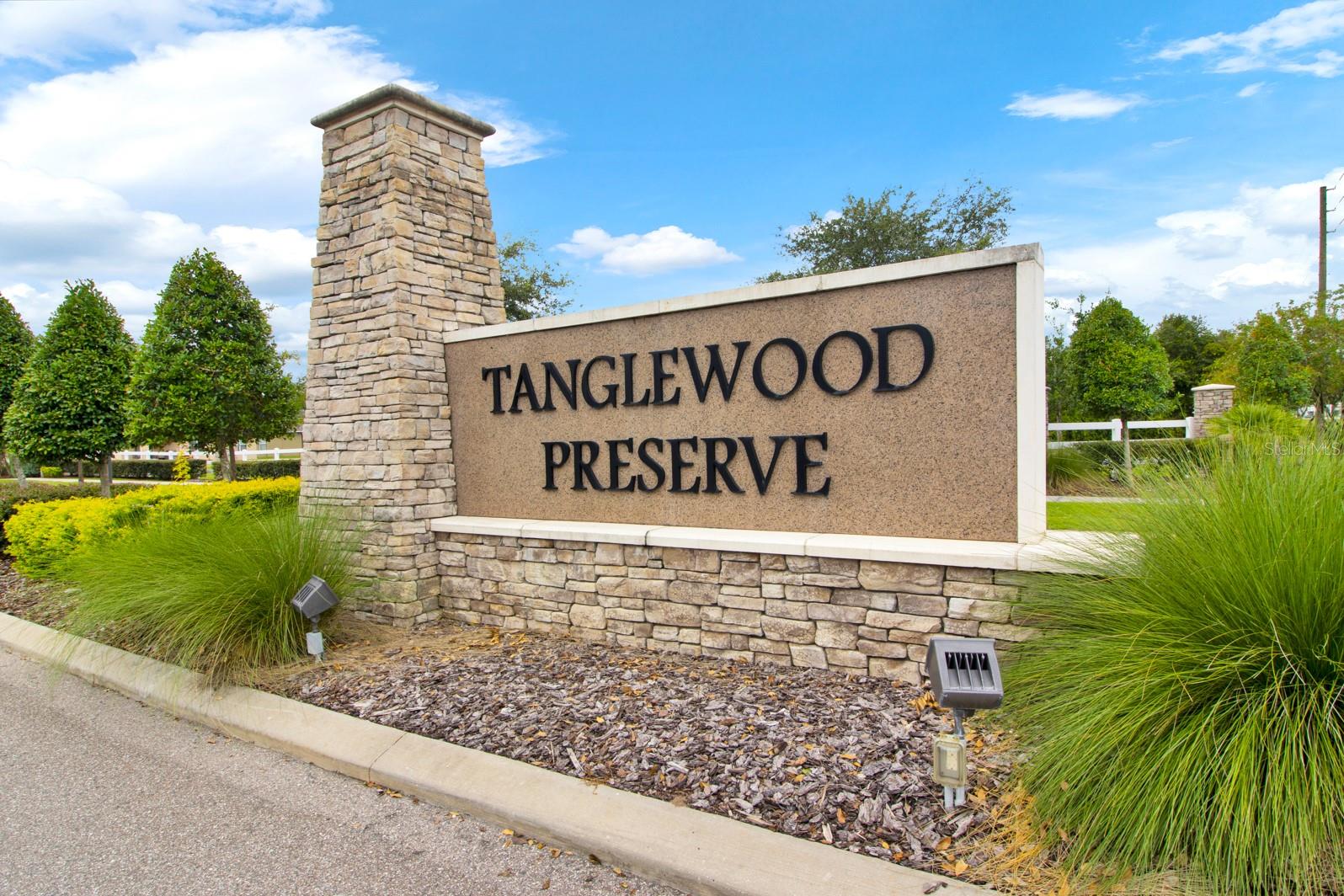 233 TANGLEWOOD DR, DAVENPORT, FL, 33896