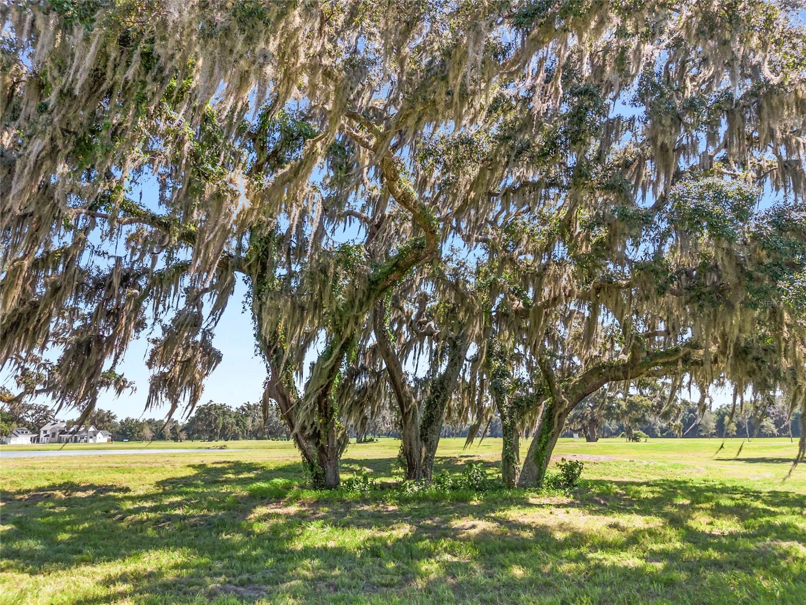 TBD (Lot 27-W) SW 138TH LOOP, DUNNELLON, FL, 34432