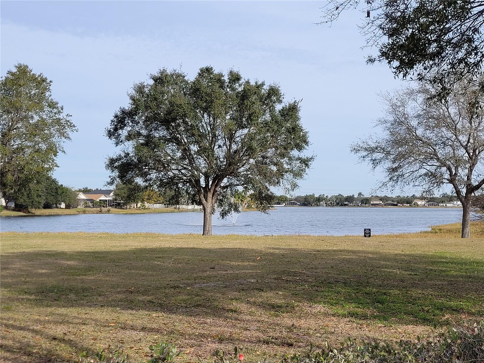 12809 LAKE VISTA DR, GIBSONTON, FL, 33534