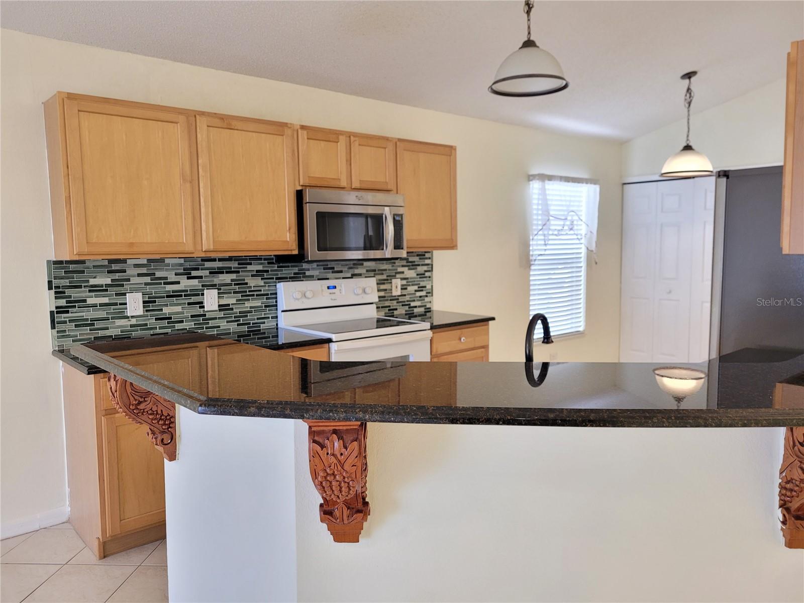 12809 LAKE VISTA DR, GIBSONTON, FL, 33534
