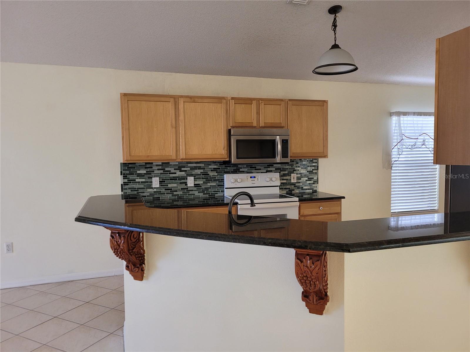 12809 LAKE VISTA DR, GIBSONTON, FL, 33534