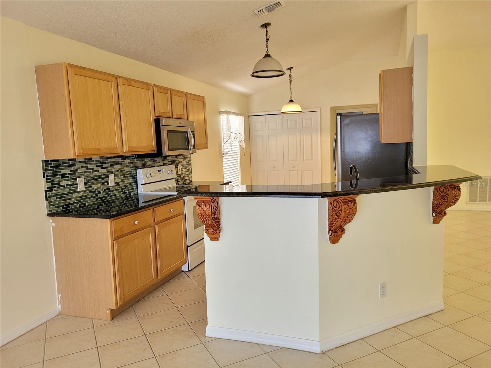 12809 LAKE VISTA DR, GIBSONTON, FL, 33534