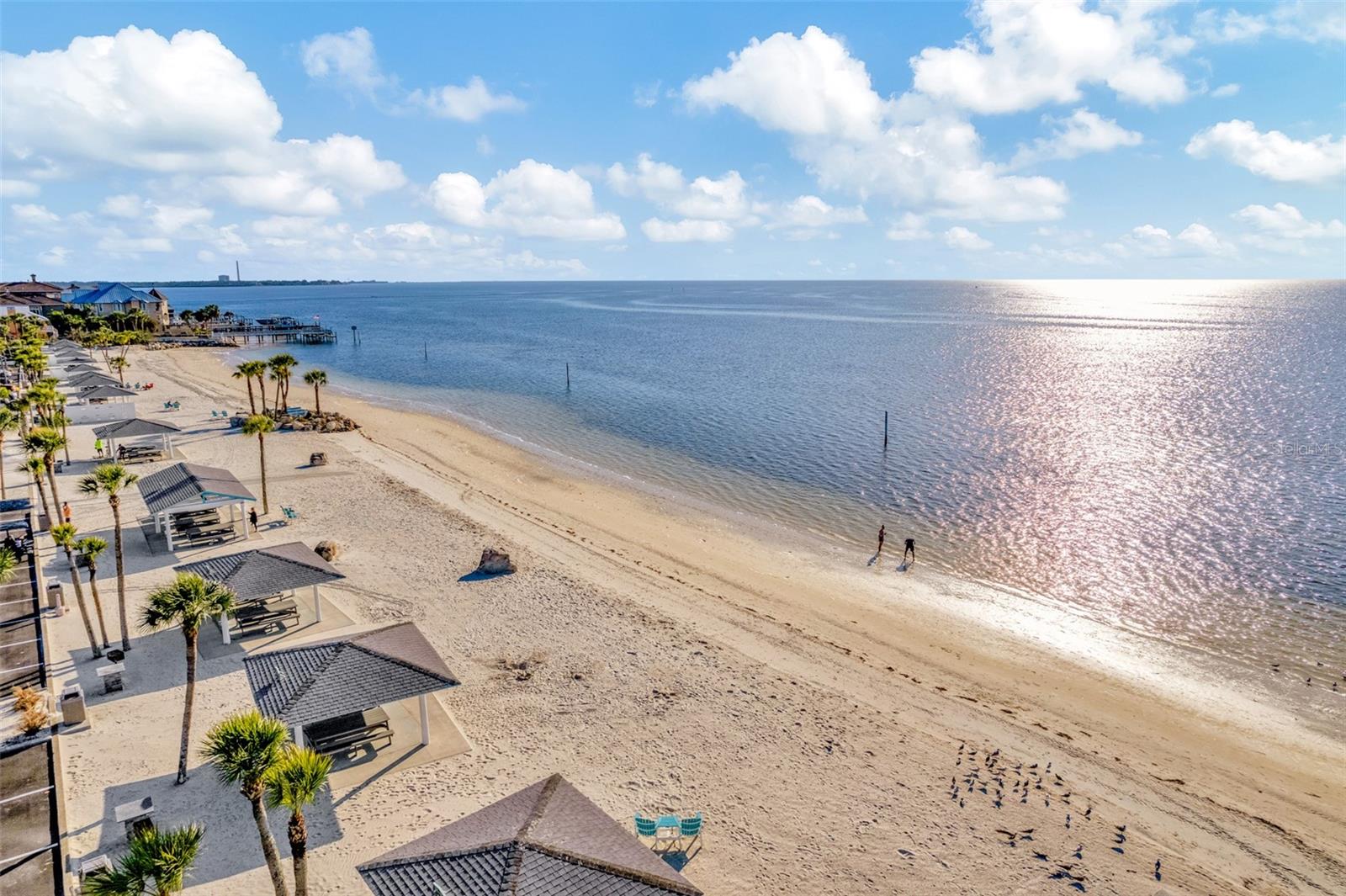 4516 SEAGULL DR #213, NEW PORT RICHEY, FL, 34652