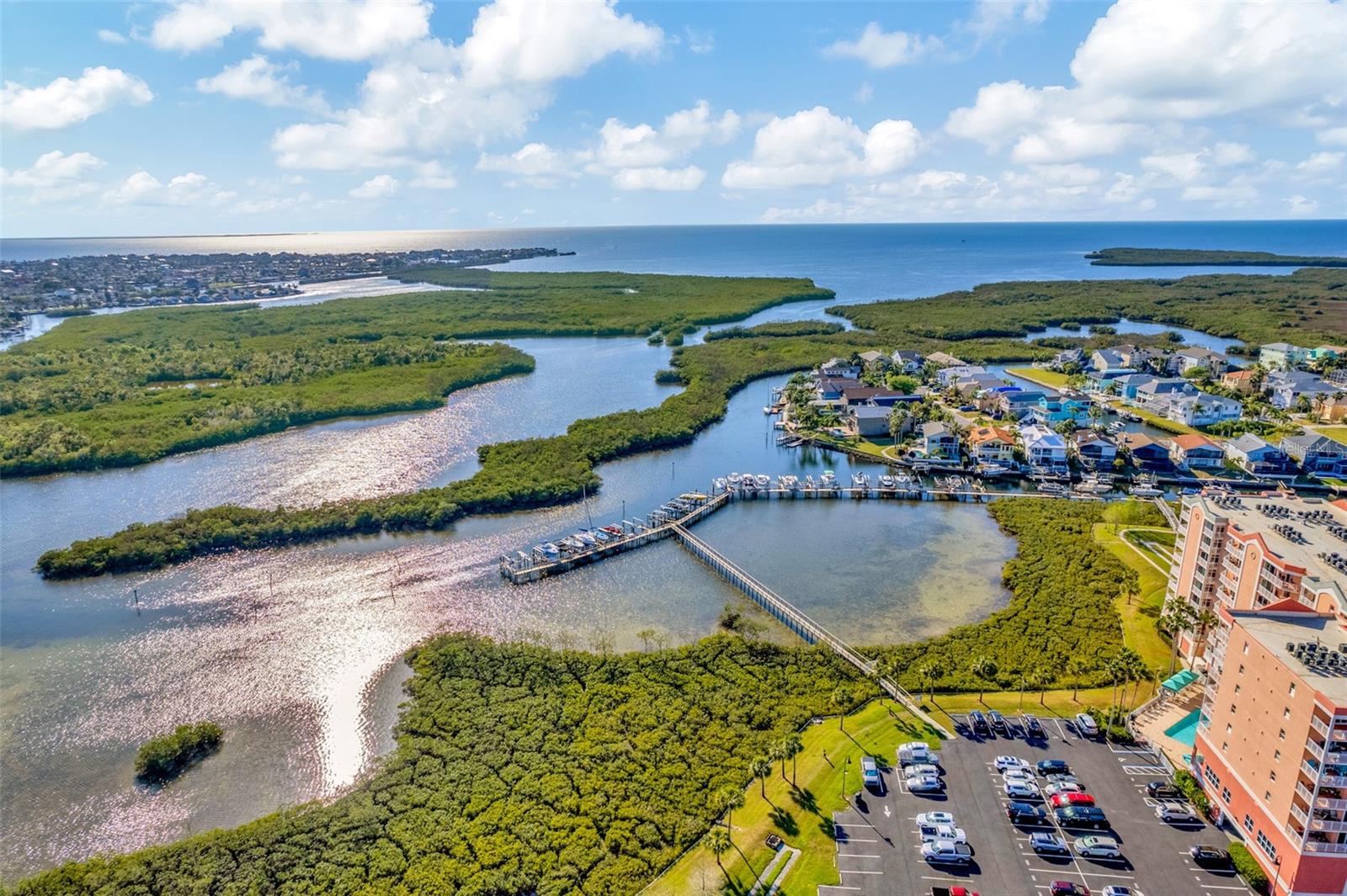 4516 SEAGULL DR #213, NEW PORT RICHEY, FL, 34652