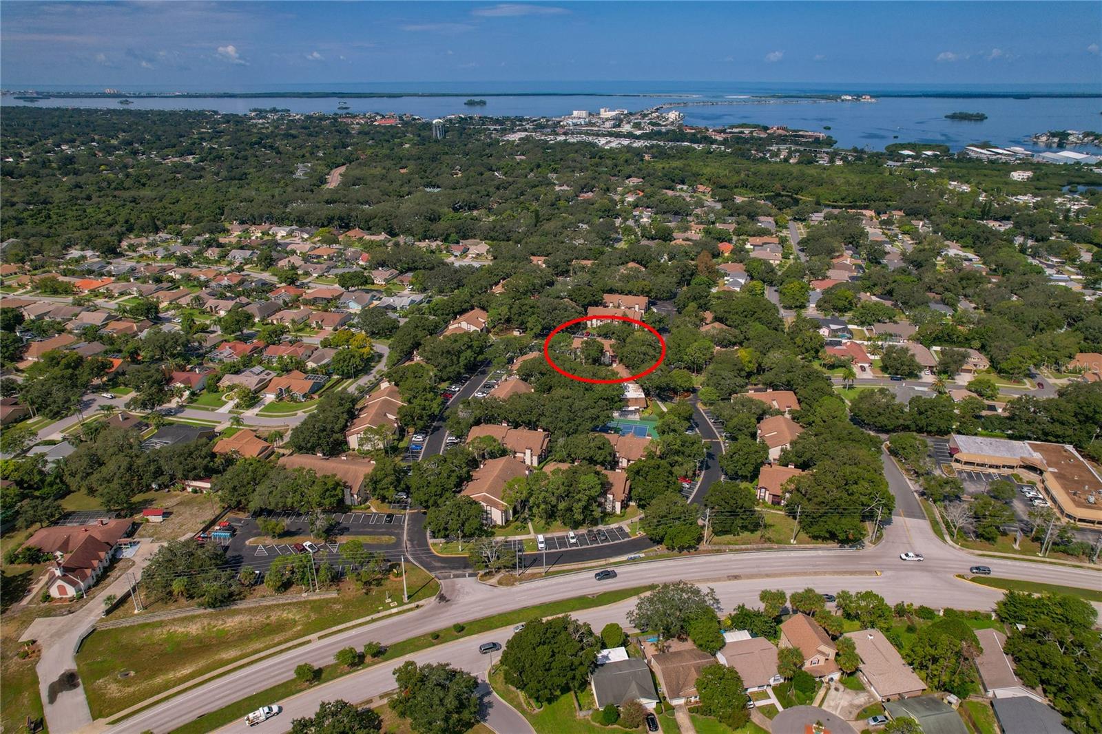 1689 HAMPTON LN #1689, PALM HARBOR, FL, 34683