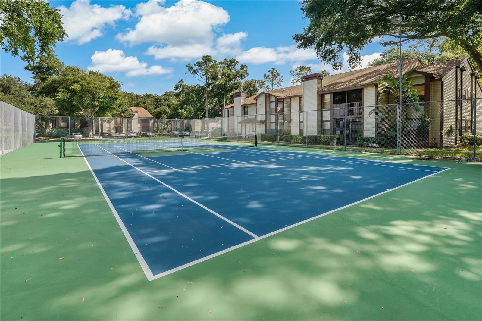 1689 HAMPTON LN #1689, PALM HARBOR, FL, 34683