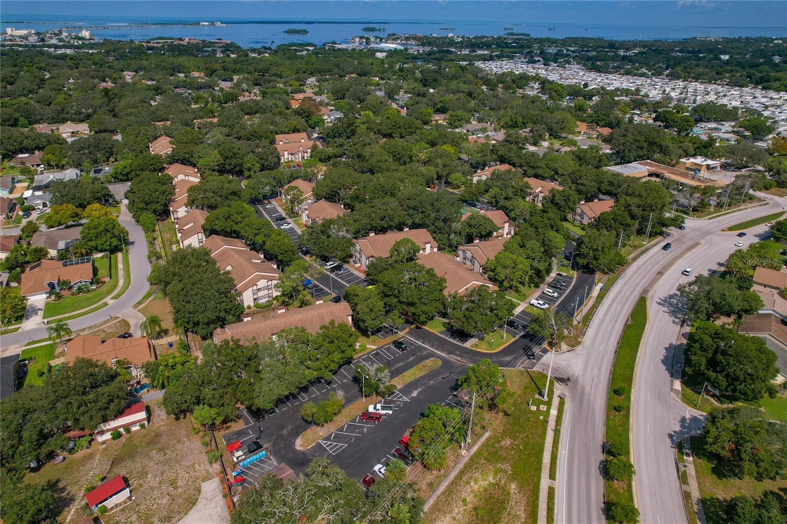 1689 HAMPTON LN #1689, PALM HARBOR, FL, 34683