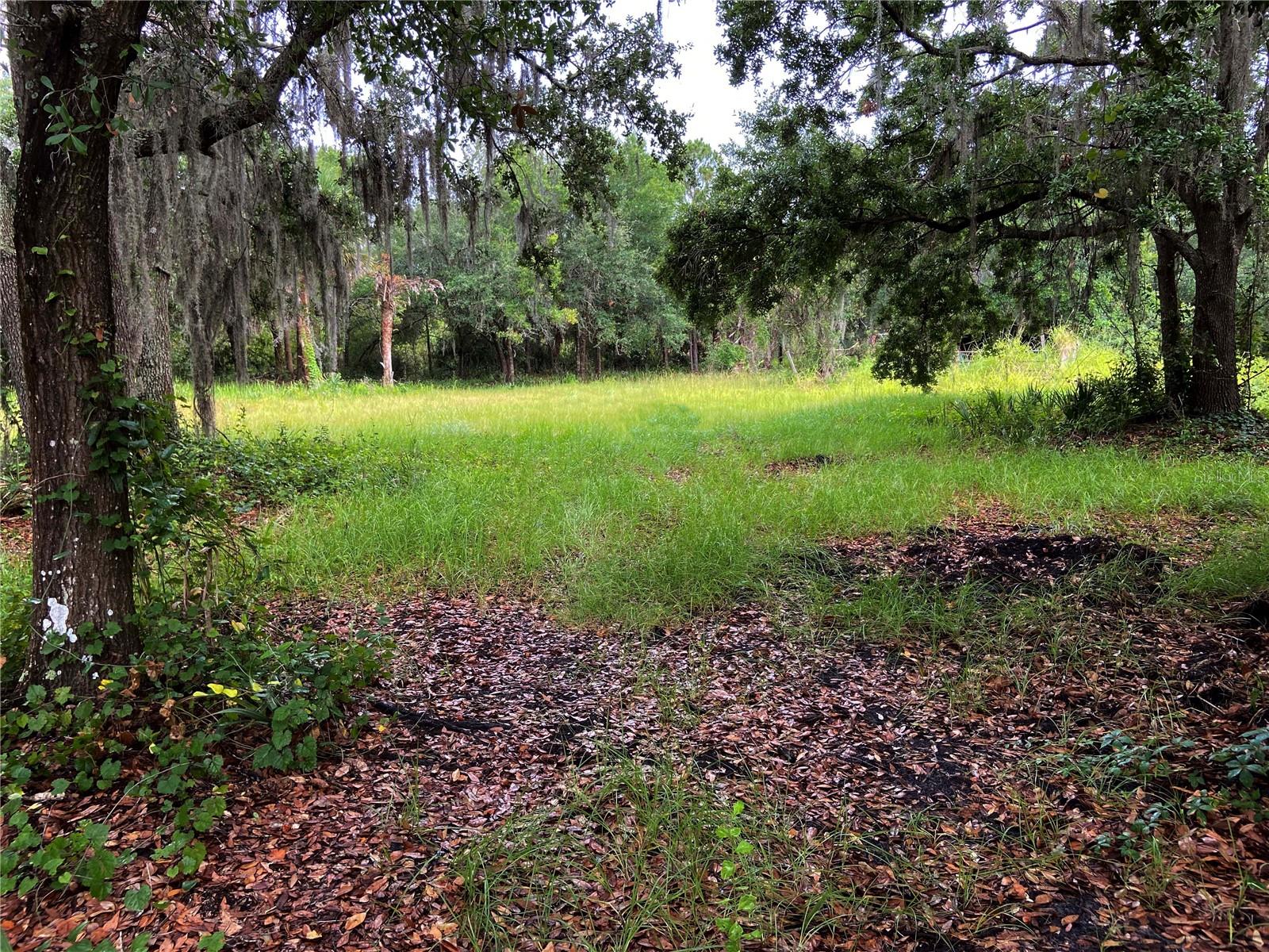 LIGHTFOOT RD, WIMAUMA, FL, 33598