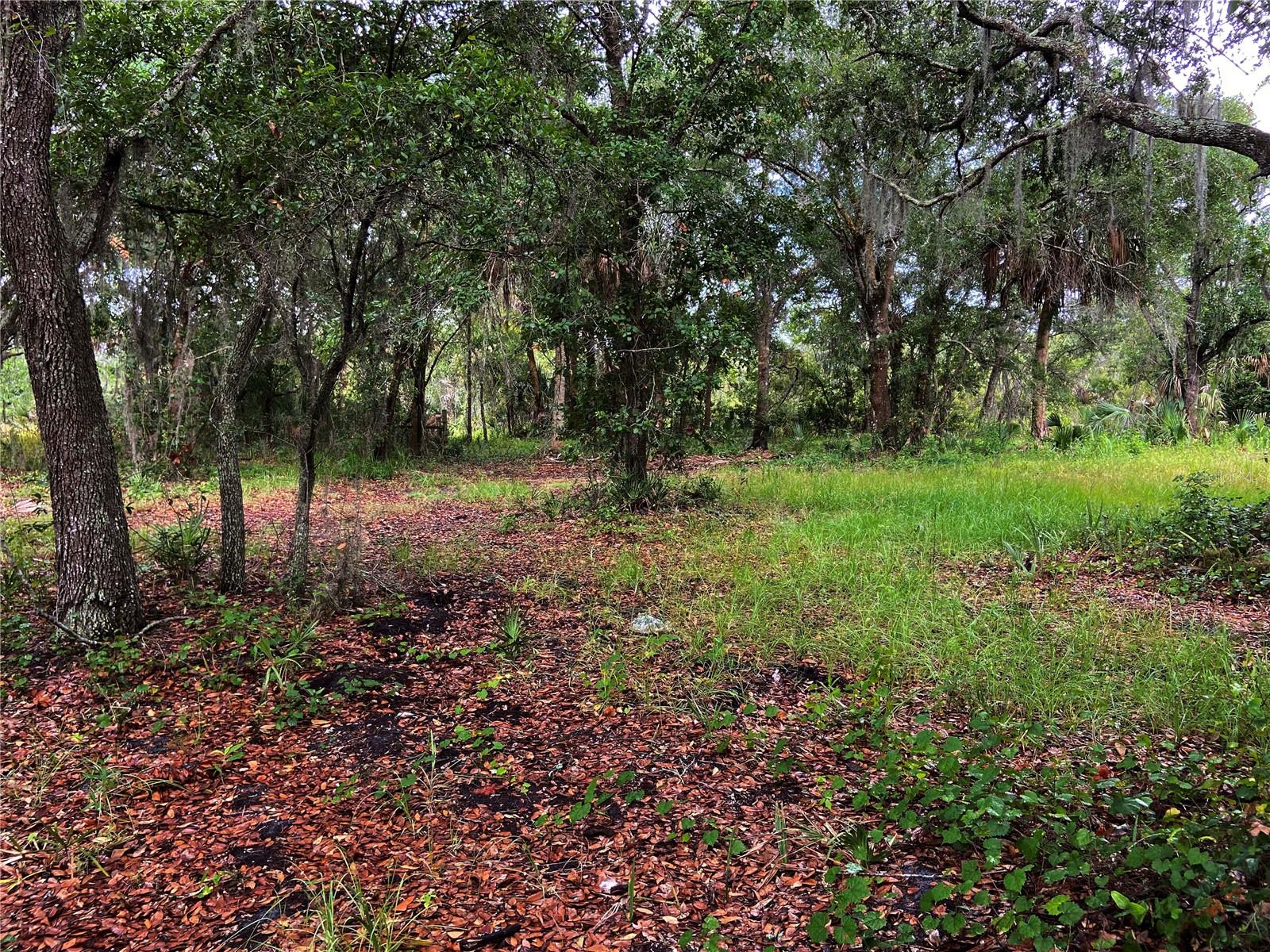 LIGHTFOOT RD, WIMAUMA, FL, 33598