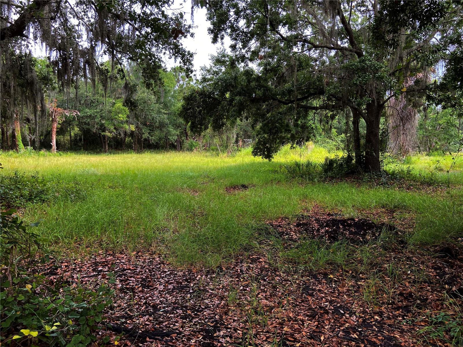 LIGHTFOOT RD, WIMAUMA, FL, 33598