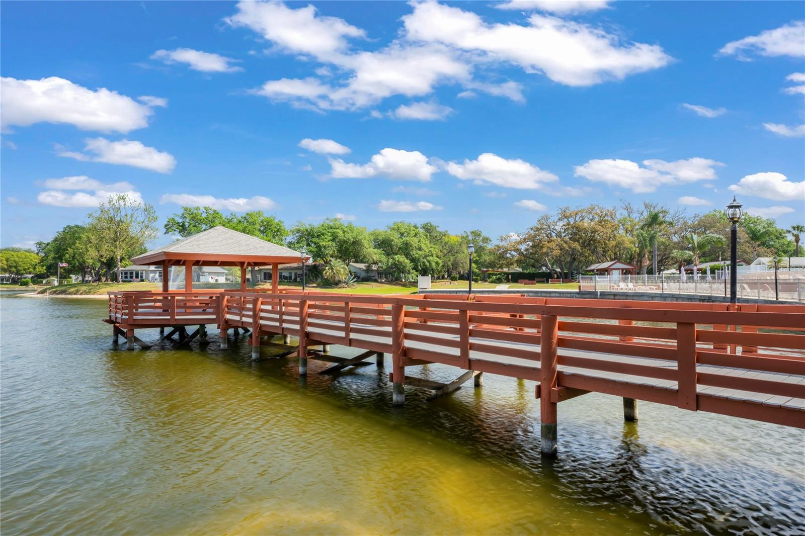 11244 ROLLINGWOOD DR, PORT RICHEY, FL, 34668