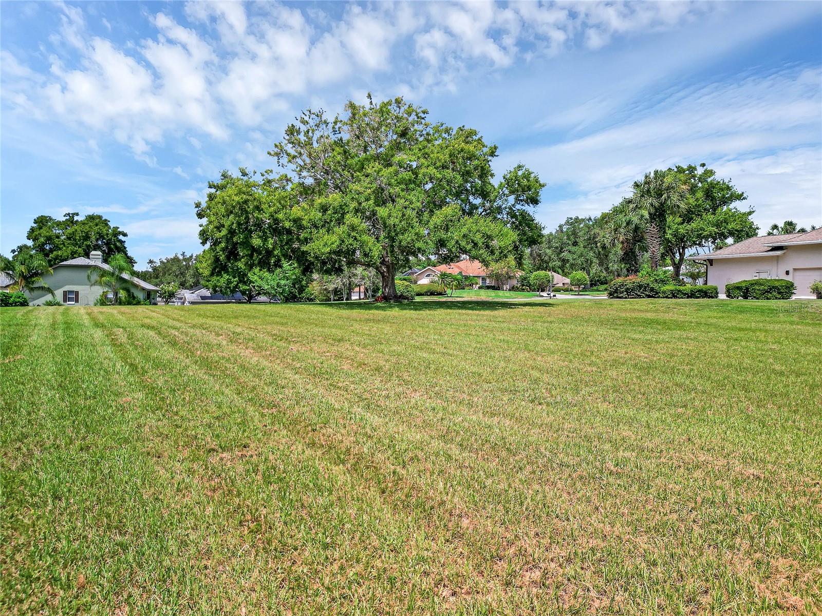 TACOMA DR, LADY LAKE, FL, 32159