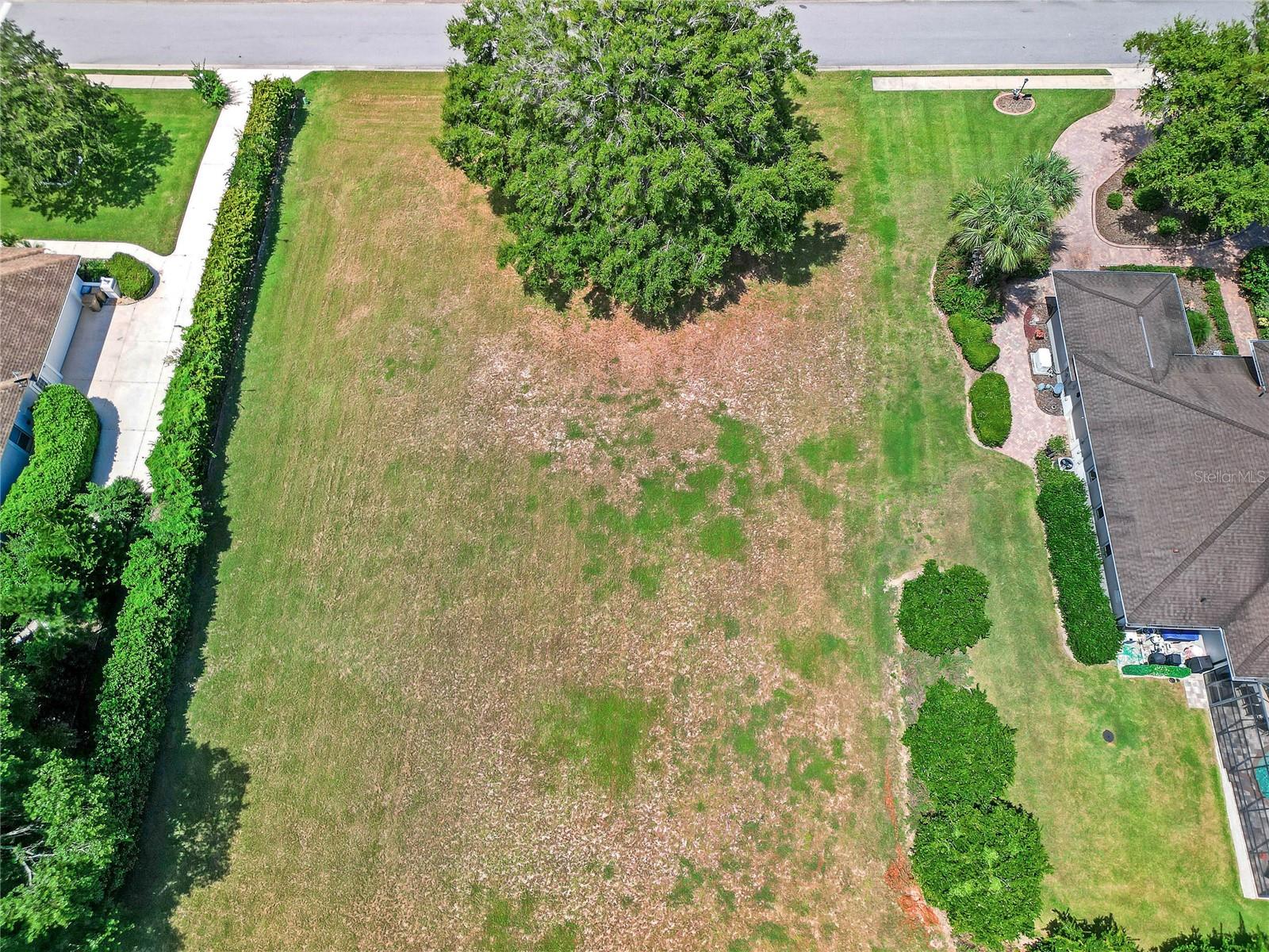 TACOMA DR, LADY LAKE, FL, 32159