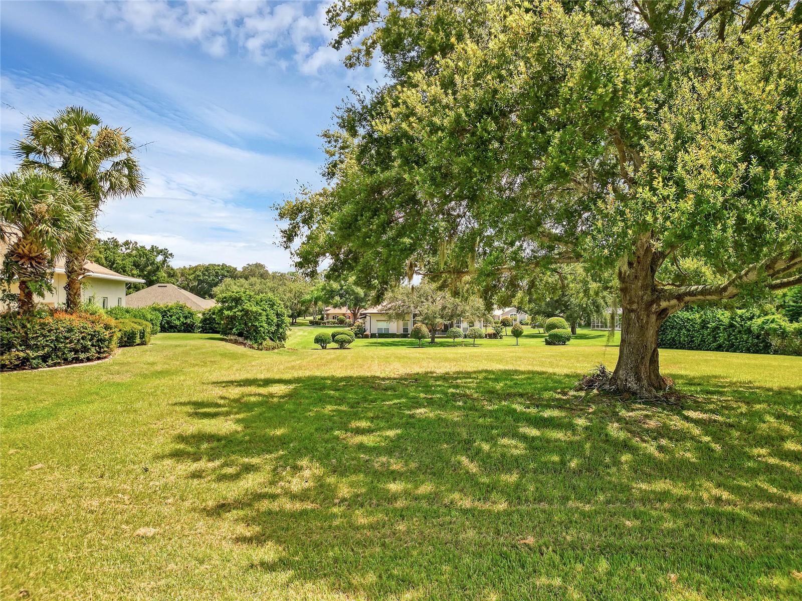 TACOMA DR, LADY LAKE, FL, 32159