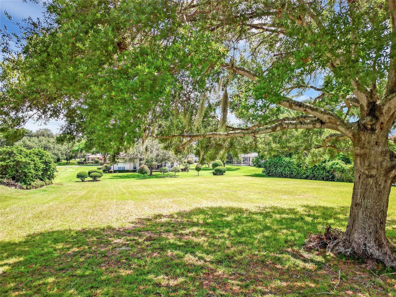 TACOMA DR, LADY LAKE, FL, 32159