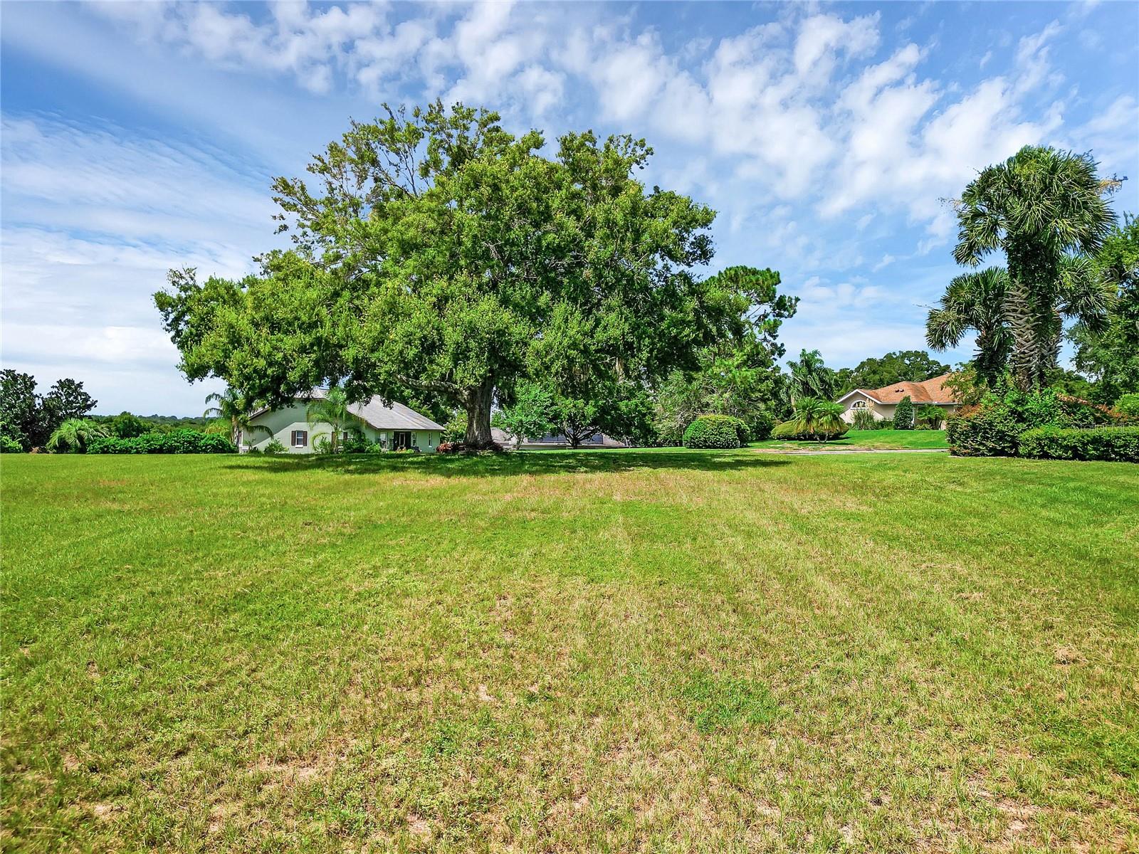 TACOMA DR, LADY LAKE, FL, 32159