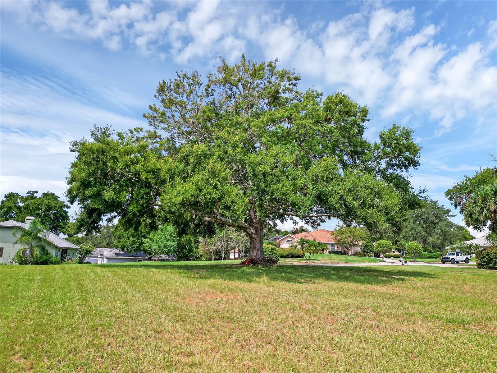 TACOMA DR, LADY LAKE, FL, 32159