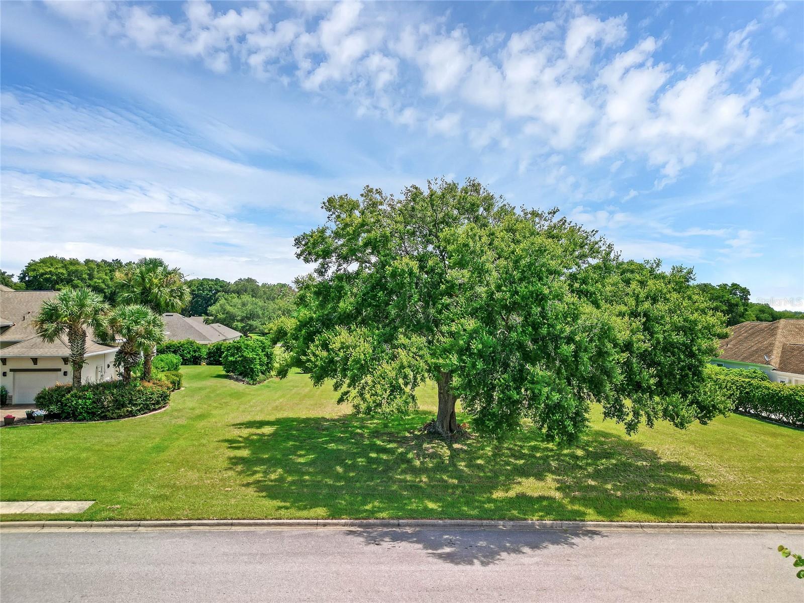 TACOMA DR, LADY LAKE, FL, 32159
