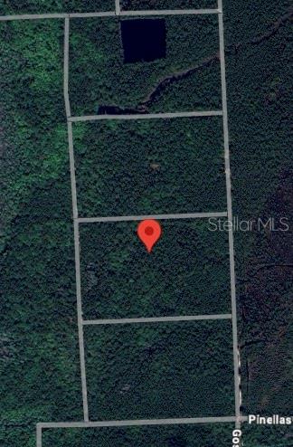 MARTHA, PALATKA, FL, 32177