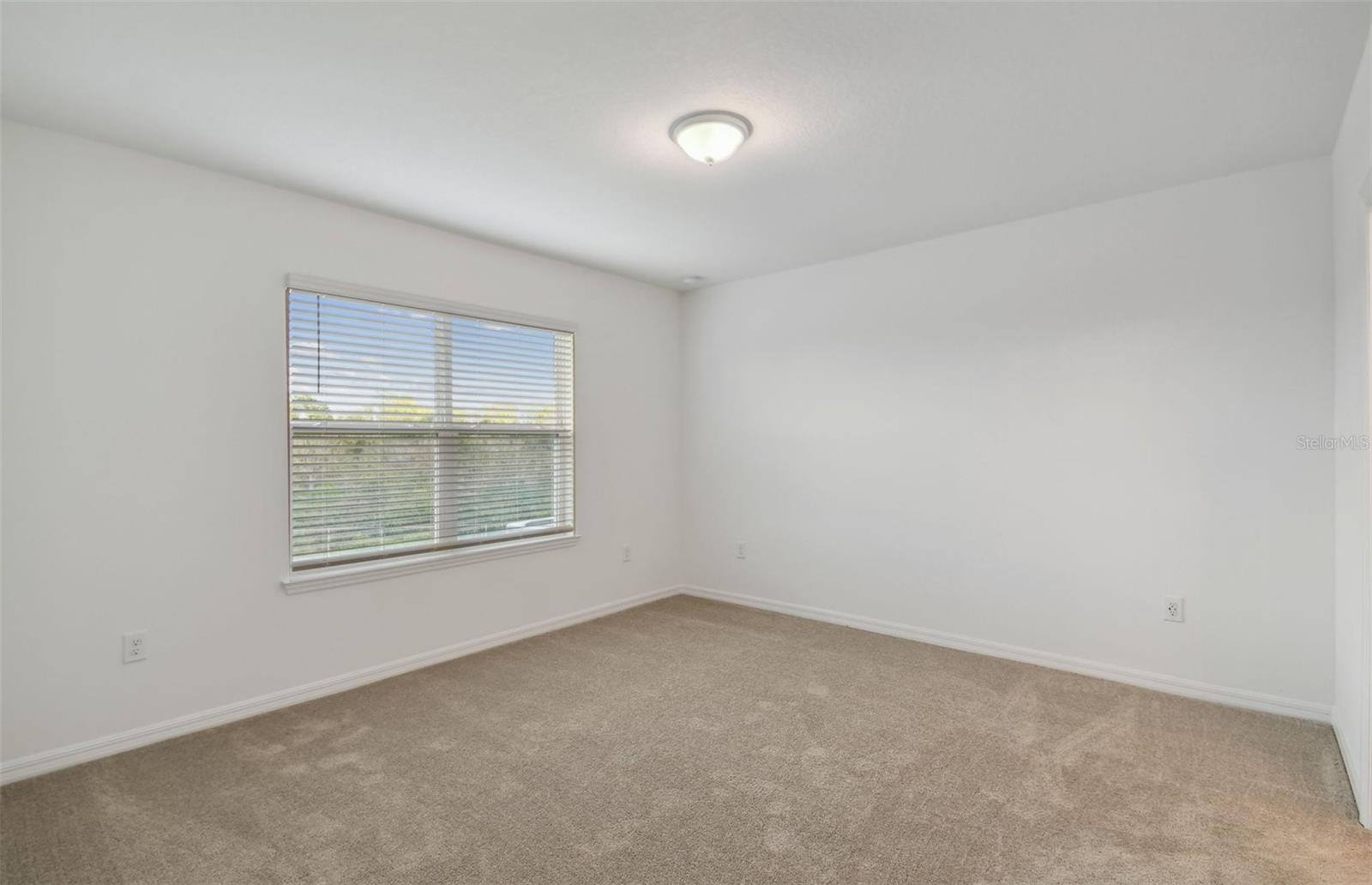 447 PINE TREE BLVD, LAKE ALFRED, FL, 33850