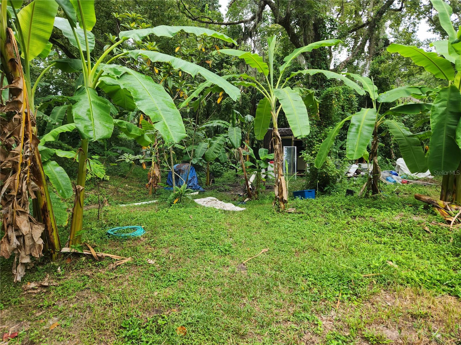 20111 FORT DADE AVE, BROOKSVILLE, FL, 34601