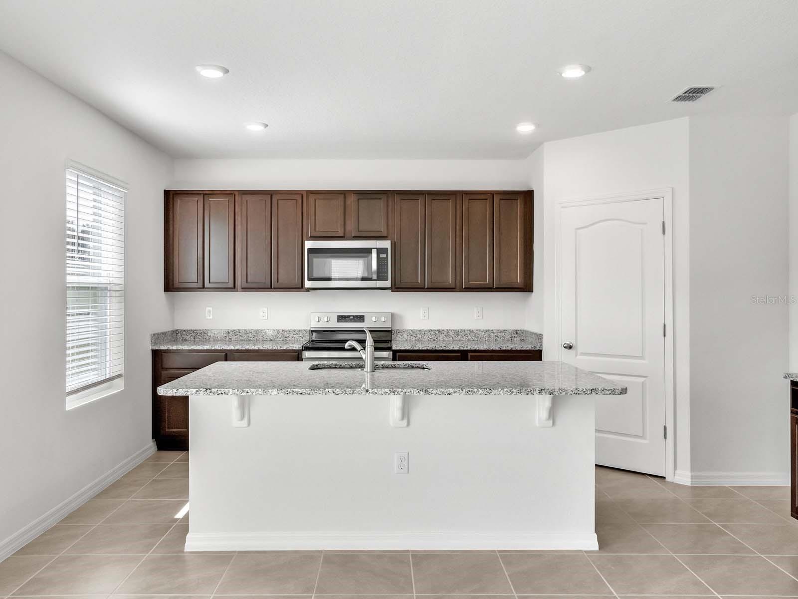 3536 CHINKAPIN OAK LN, APOPKA, FL, 32703