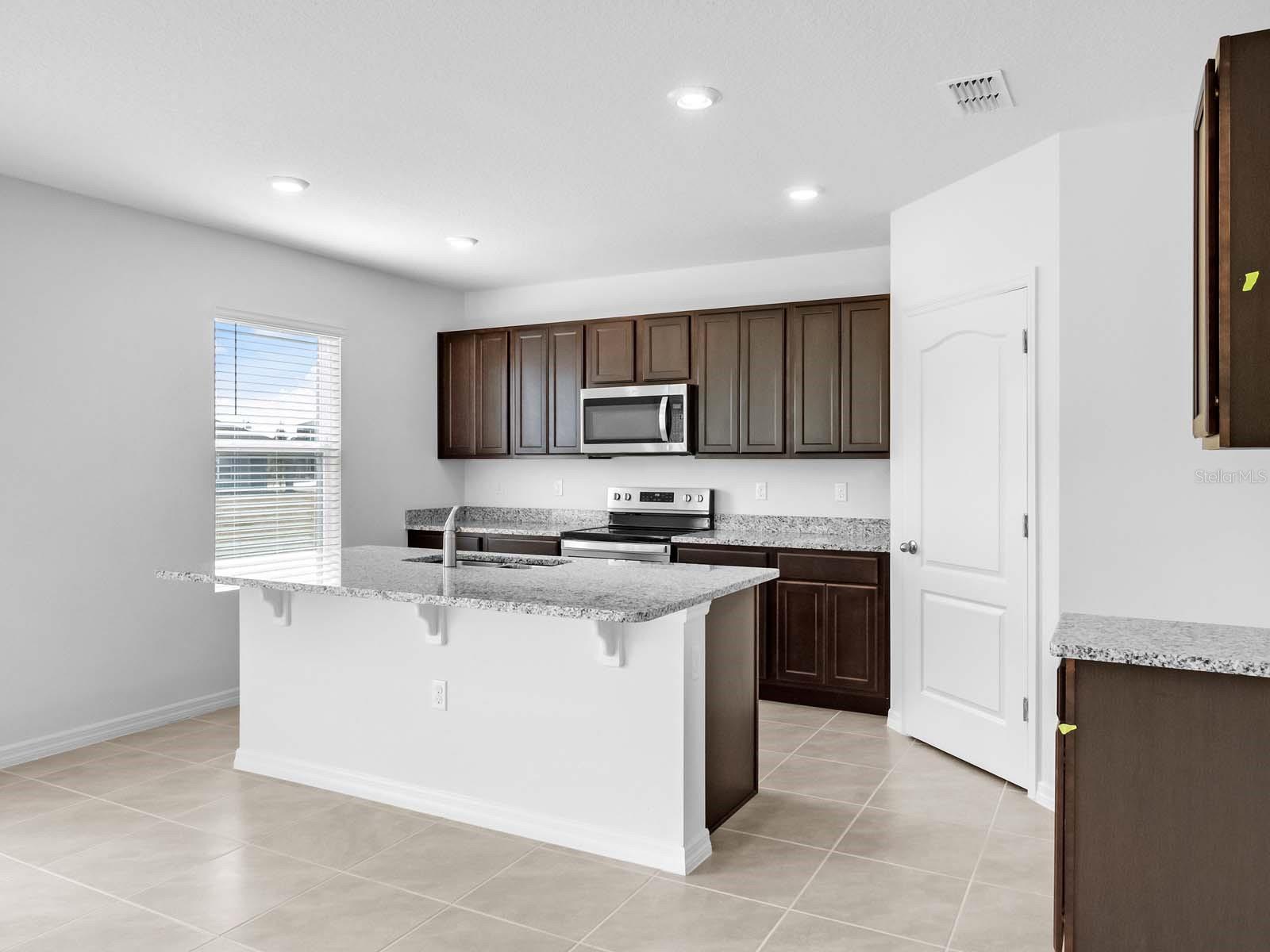 3536 CHINKAPIN OAK LN, APOPKA, FL, 32703