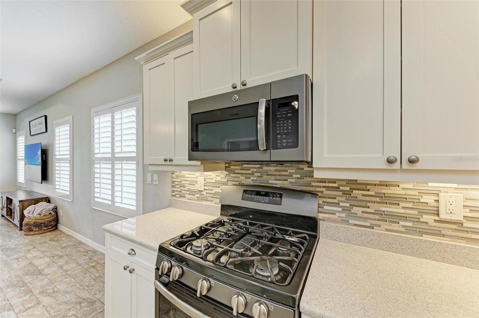 12198 LONGVIEW LAKE CIR, BRADENTON, FL, 34211