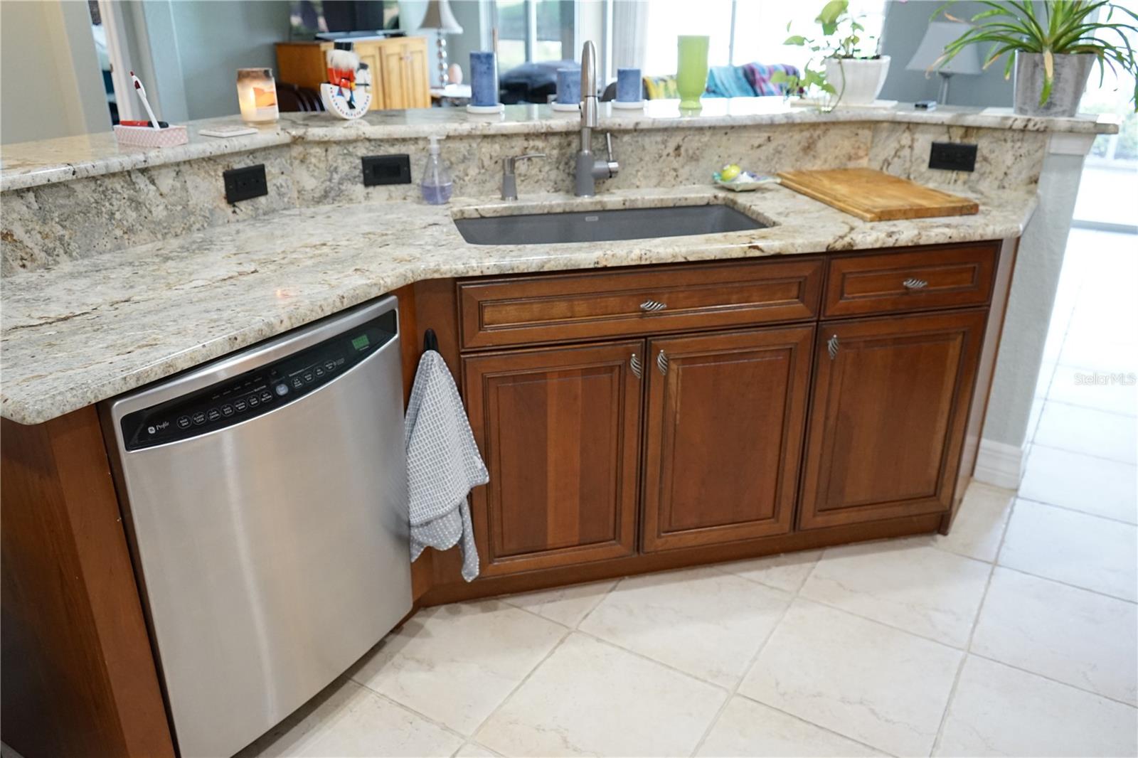 1440 EMERALD DUNES DR #9, SUN CITY CENTER, FL, 33573