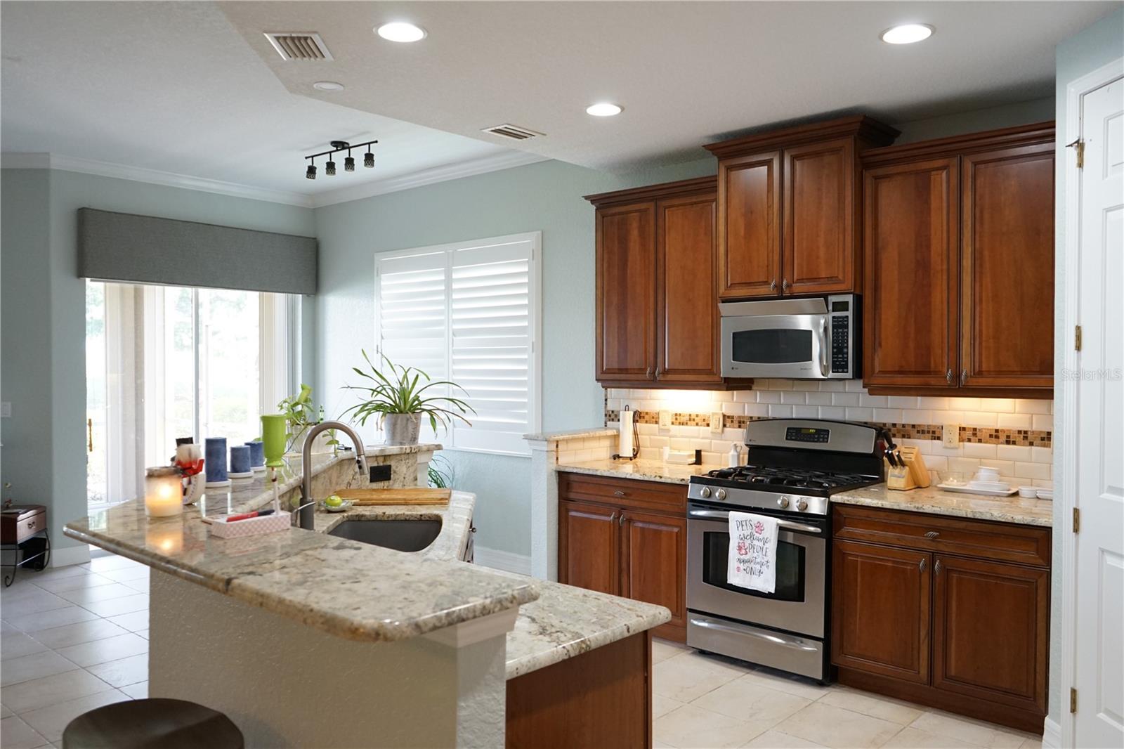1440 EMERALD DUNES DR #9, SUN CITY CENTER, FL, 33573