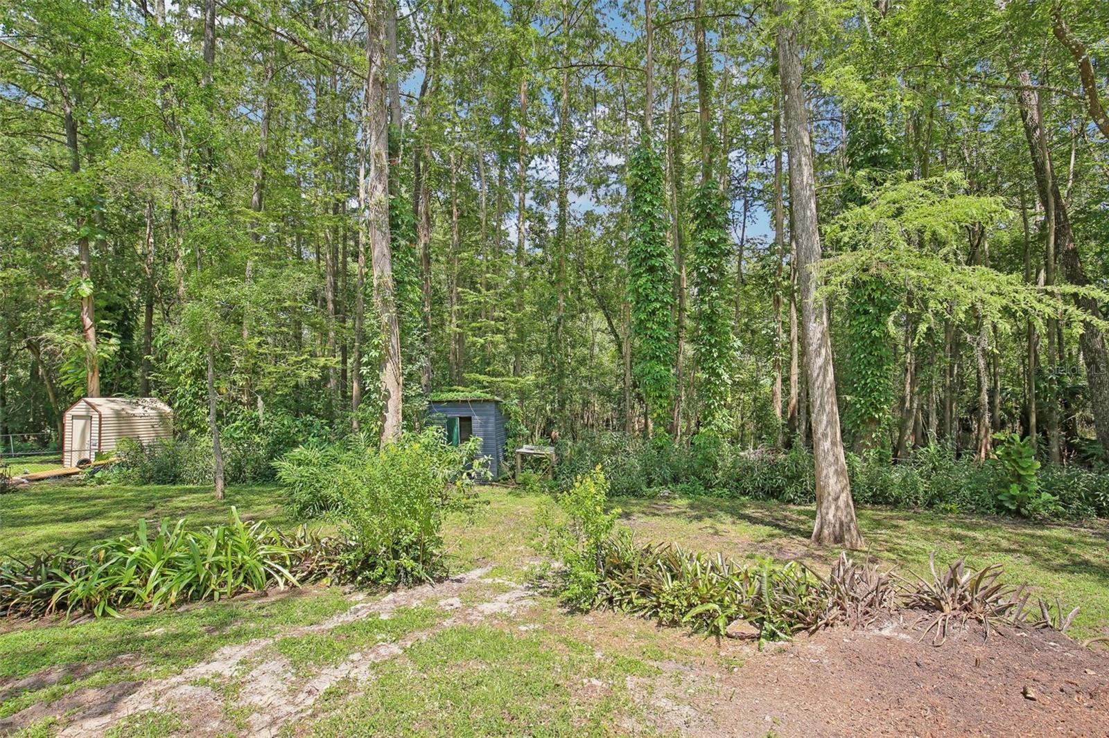 3603 CR 626N, BUSHNELL, FL, 33513