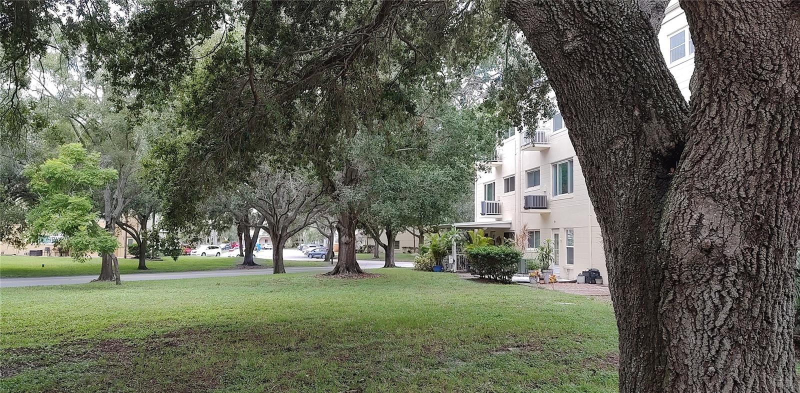 2256 SPANISH DR #10, CLEARWATER, FL, 33763