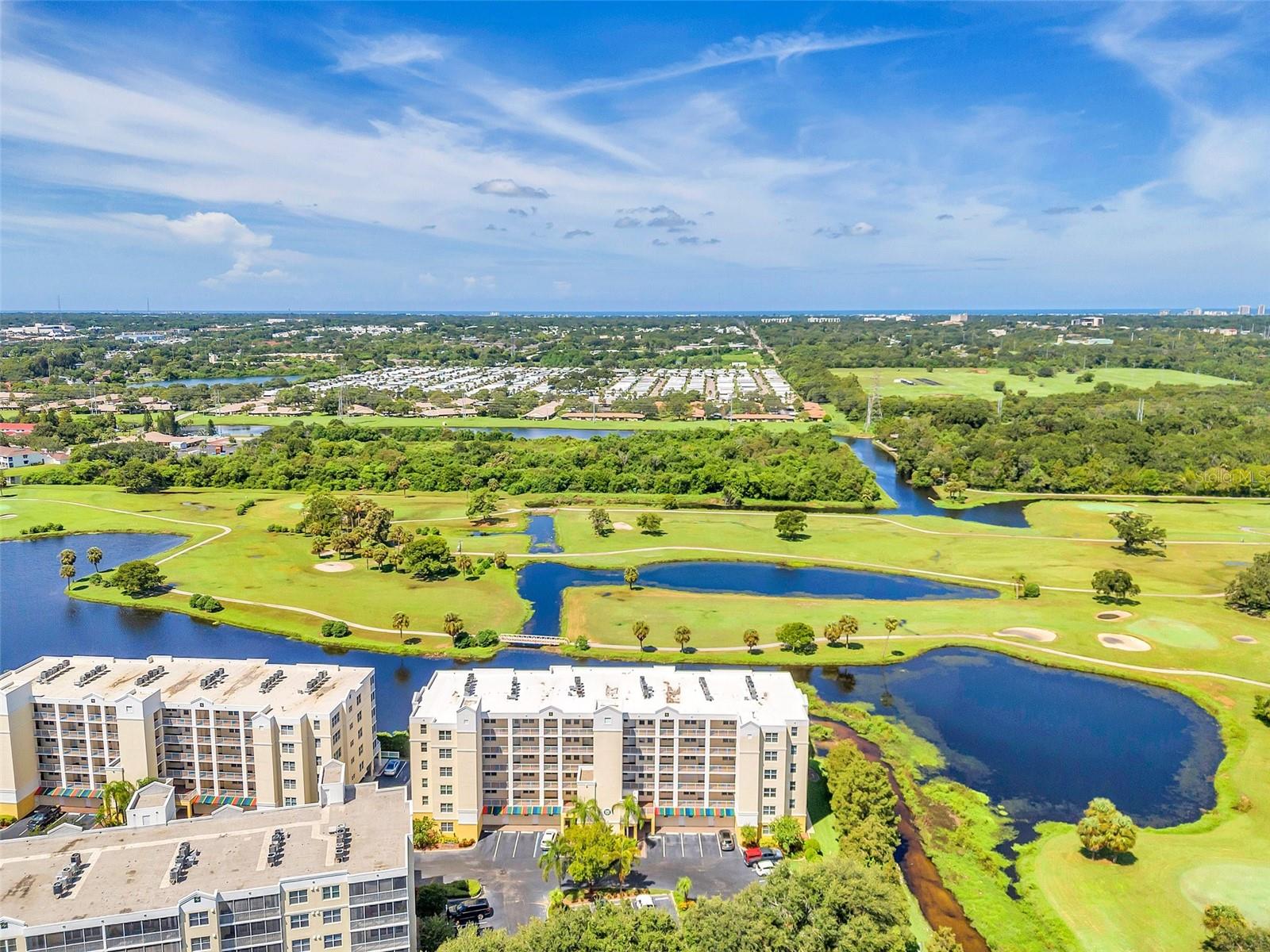 1200 COUNTRY CLUB DR #6302, LARGO, FL, 33771