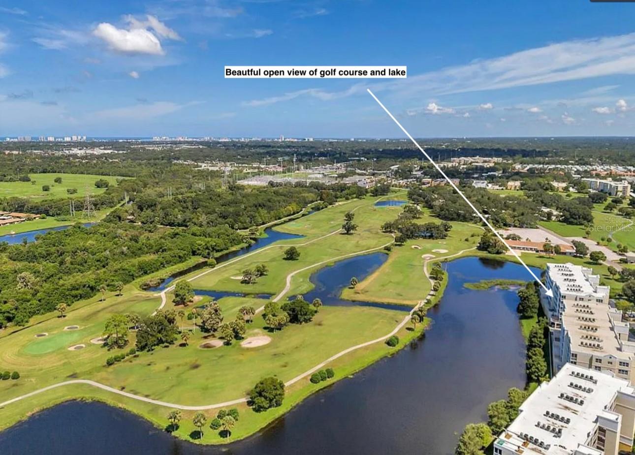 1200 COUNTRY CLUB DR #6302, LARGO, FL, 33771