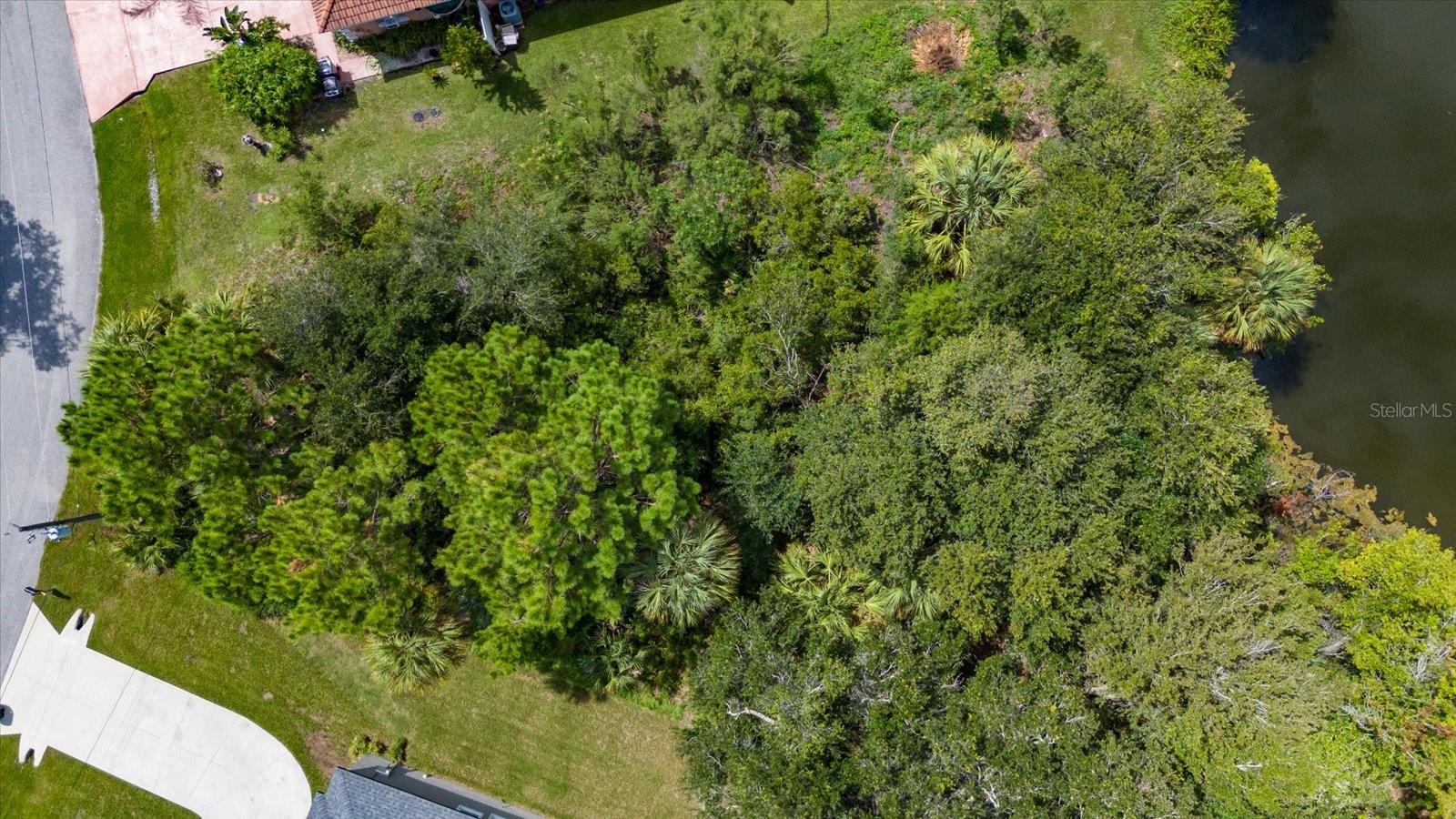 45 LUTHER DR, PALM COAST, FL, 32137