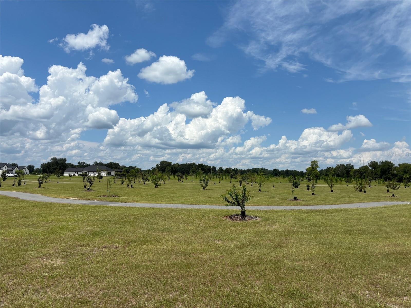 5890 SW 124TH WAY, ARCHER, FL, 32618