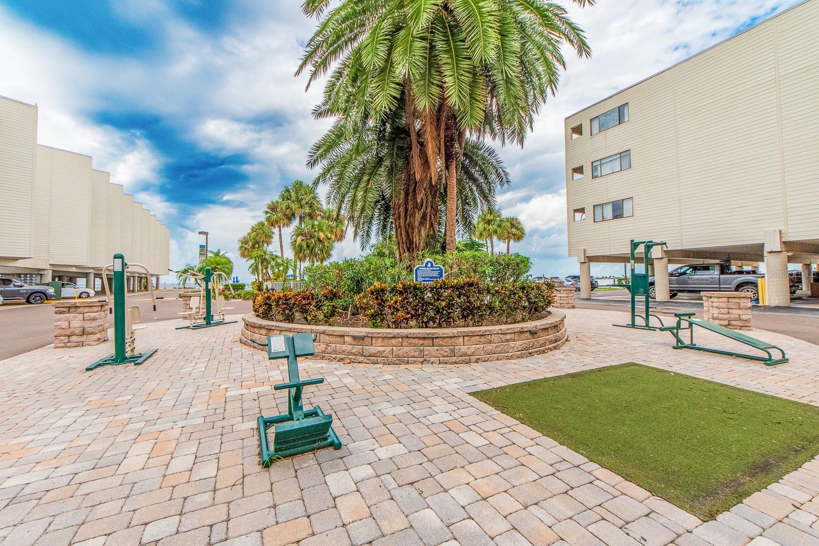 2506 N ROCKY POINT DR #274, TAMPA, FL, 33607
