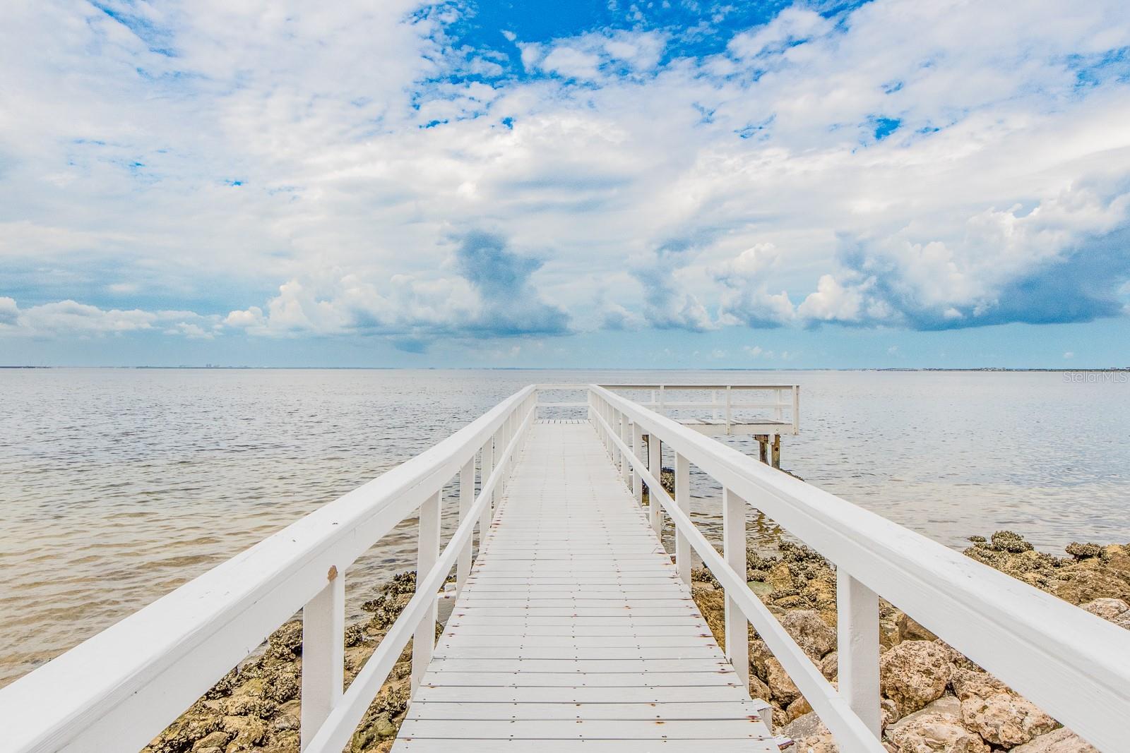 2506 N ROCKY POINT DR #274, TAMPA, FL, 33607
