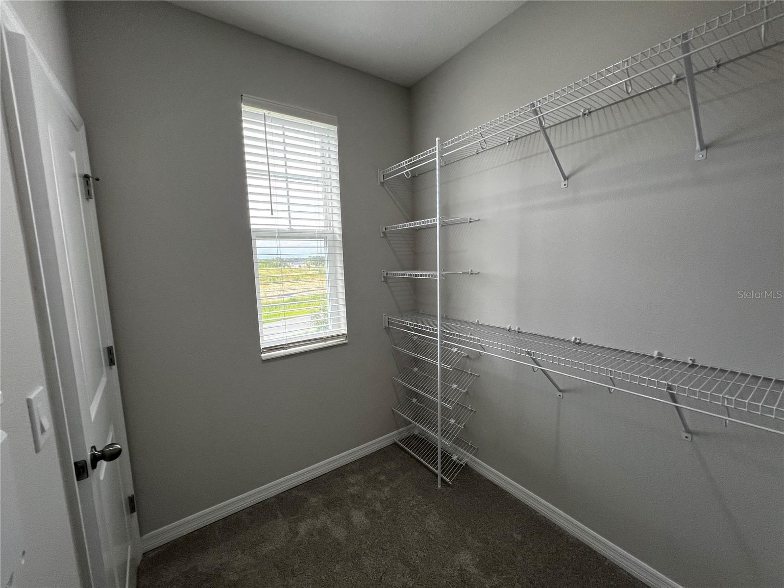 15769 TOLLINGTON ALY, WINTER GARDEN, FL, 34787