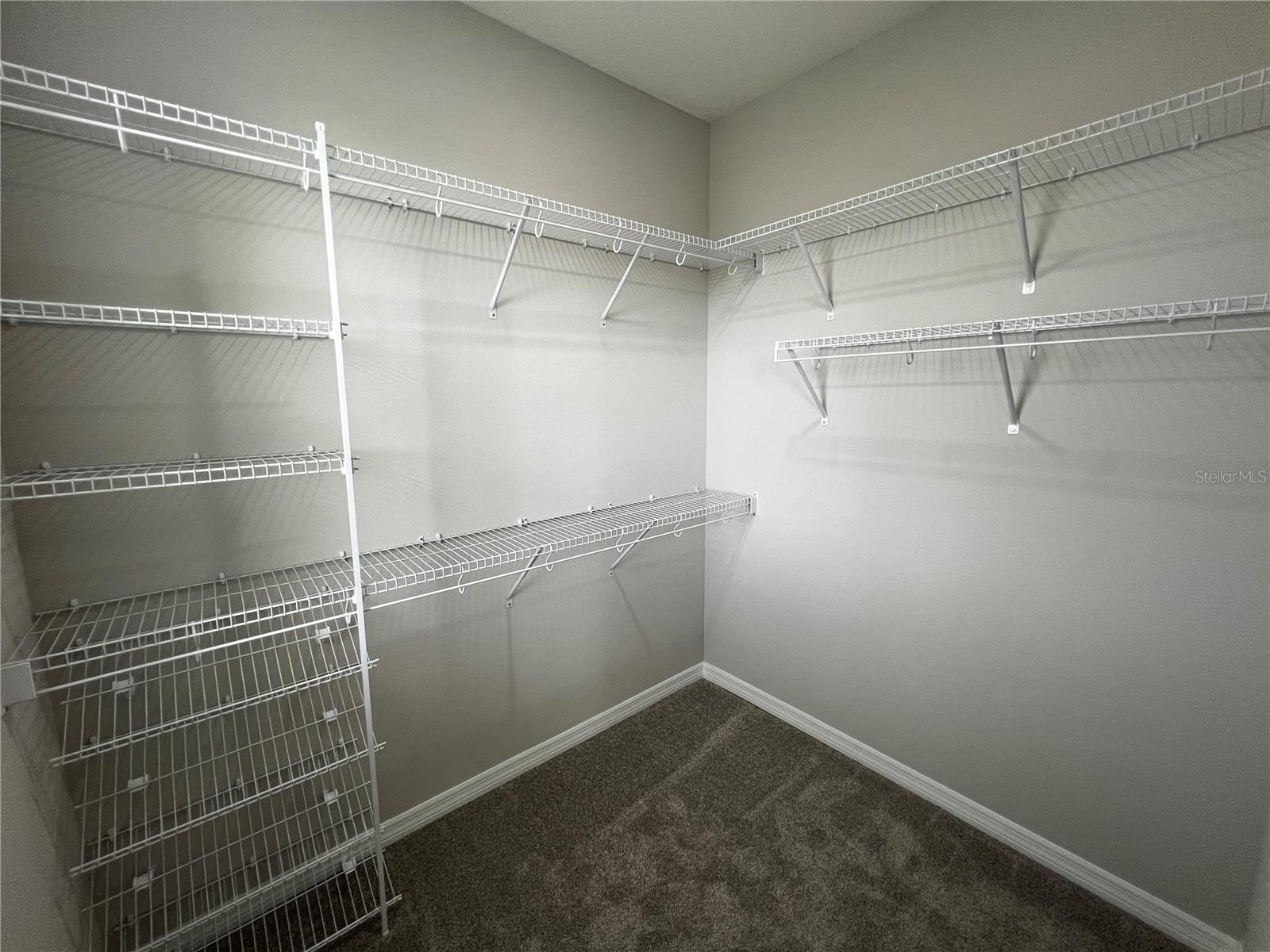 15769 TOLLINGTON ALY, WINTER GARDEN, FL, 34787