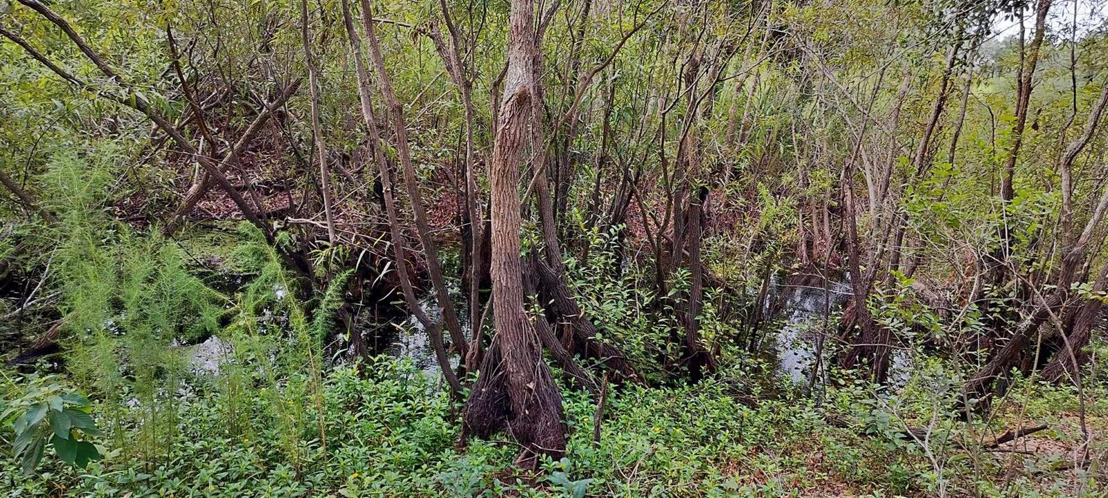 96 N SHELTERING OAKS DR, INVERNESS, FL, 34453